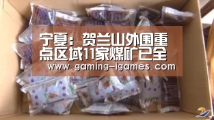 宁夏:贺兰山外围重点区域11家煤矿已全部关停:爱游戏下载(图1) 爱游戏官网